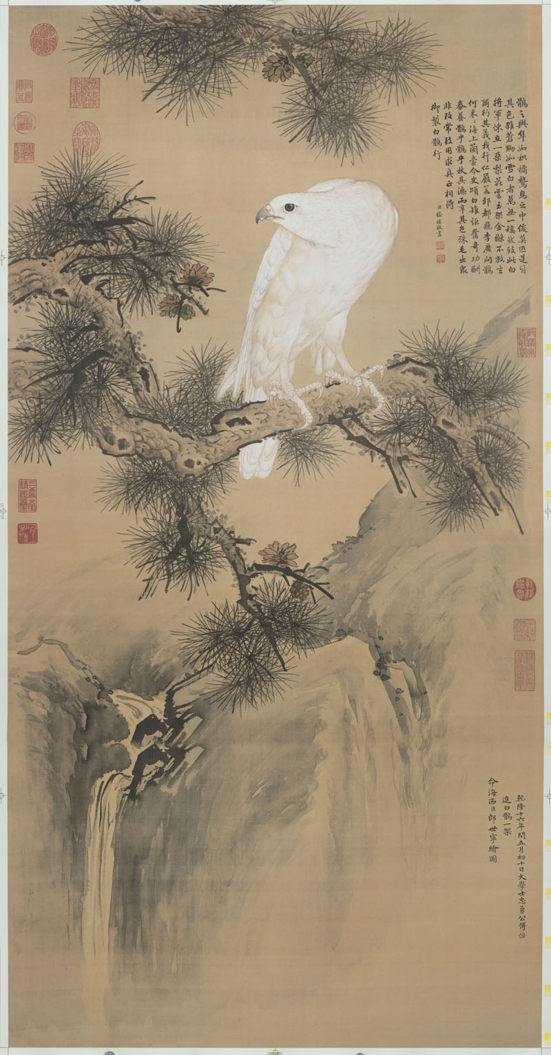 B2049057《白鹘图》清代画家郎世宁高清作品 清代-第1张