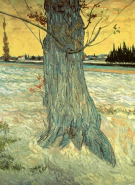 a001342《赤柏松树的树干》荷兰画家文森特·梵高高清作品